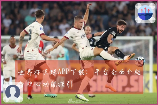 世界杯买球APP下载：平台全面介绍与核心功能指引