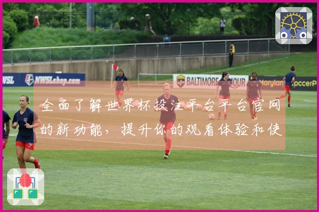 全面了解世界杯投注平台平台官网的新功能，提升你的观看体验和使用便捷性