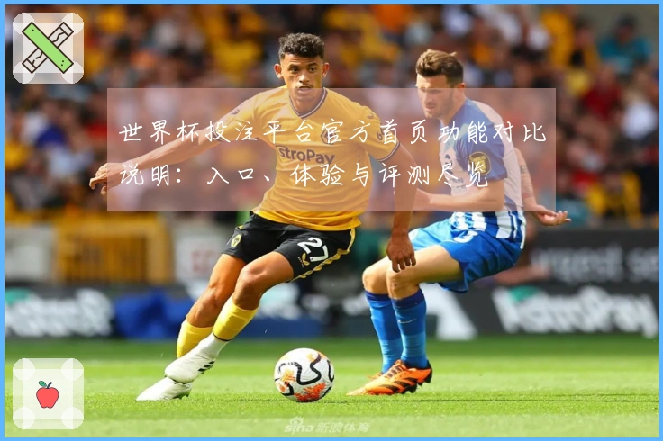 世界杯投注平台官方首页功能对比说明：入口、体验与评测尽览