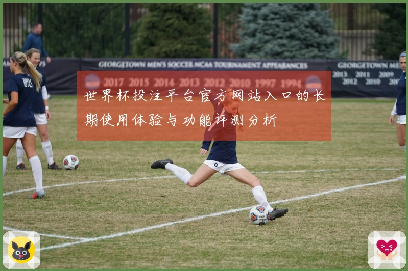 世界杯投注平台官方网站入口的长期使用体验与功能评测分析