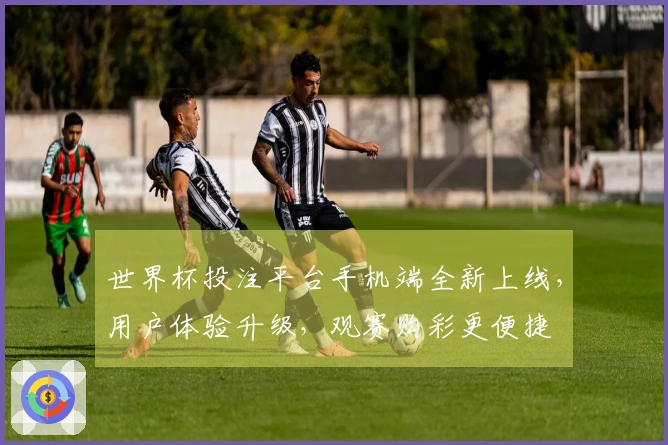 世界杯投注平台手机端全新上线，用户体验升级，观赛购彩更便捷
