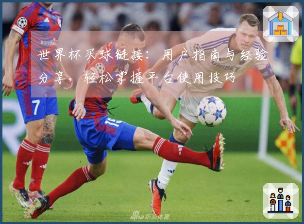 世界杯买球链接：用户指南与经验分享，轻松掌握平台使用技巧