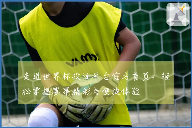 走进世界杯投注平台官方首页，轻松掌握赛事精彩与便捷体验