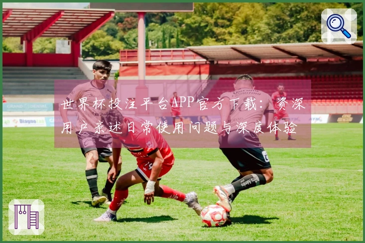 世界杯投注平台APP官方下载：资深用户亲述日常使用问题与深度体验分享